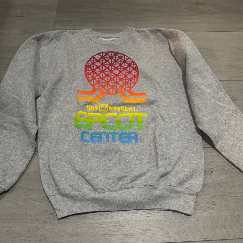 Gray Epcot Center Sweater